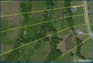 1645 Lovvorn Rd, Christiana, TN 37037-6301