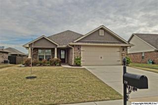 250 New Bristol Ln, Madison AL  35756-4099 exterior