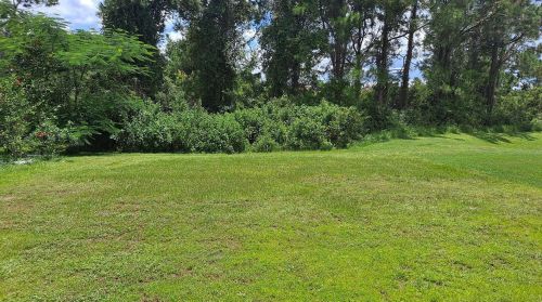 18816 Litzau Ln, Land O Lakes FL  34638-2641 exterior