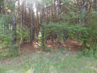 3815 Winfield Dr, Sumter, SC 29153-8819