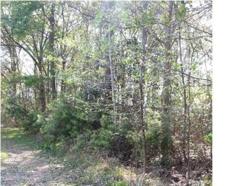 1 Bayou Jonas Dr, Mon Louis, AL 36523