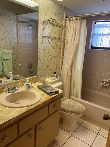 3048 Peterborough St, Tarpon Springs FL  34690-2036 exterior