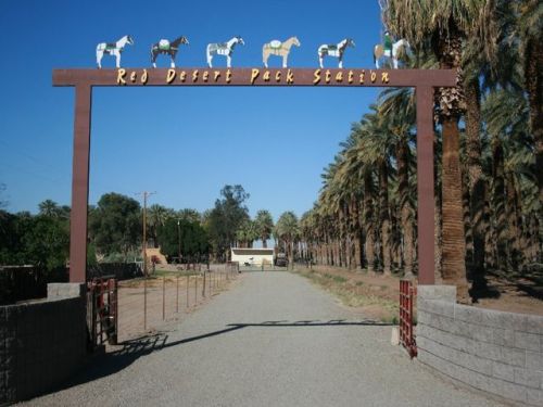 1151 Perez Rd, Winterhaven, CA 92283-9752