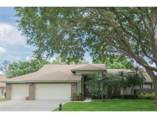 16119 Belle Meade Blvd, Odessa, FL 33556-3309