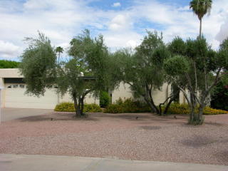 5519 79th Pl, Scottsdale, AZ 85250-6521