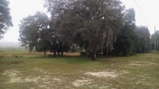 159 Tijuana Trl, Melrose, FL 32666-3219