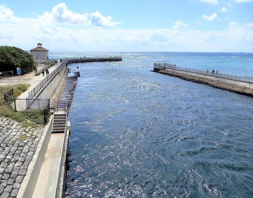 635 Shore Dr, Boynton Beach, FL 33435-2850