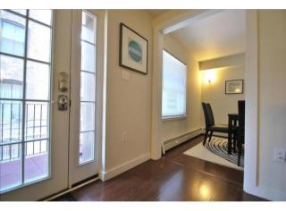 25 Springfield St, Boston MA  02118-3300 exterior