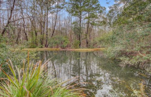 60 Fenwick Hall Aly, Johns Island SC  29455-3127 exterior