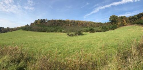 9185 Tunnel Hill Rd, Lindentree, OH 44656-8743