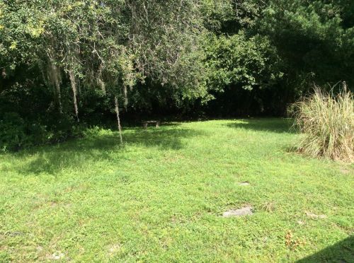 4027 Litchfield Dr, New Port Richey, FL 34652-5647