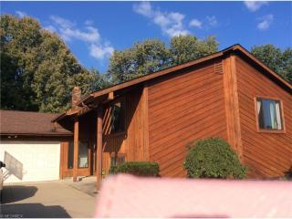 100 Boulder Ridge Pl, Concord Township, OH 44077-5111