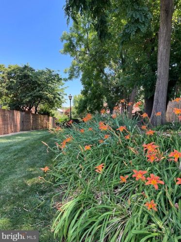 2827 Flagmaker Dr, Falls Church VA  22042-2204 exterior