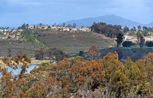 11034 Caminito Vista Pacifica, San Diego CA 92131-3301 exterior