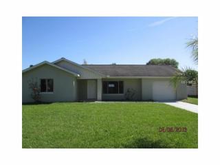 113 Harness Ln, Kissimmee, FL 34743-7708
