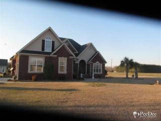 827 Olanta Hwy, Effingham SC  29541-6547 exterior