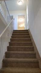 621 5th St, Palmyra NJ  08065-2406 exterior