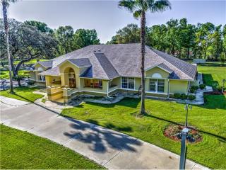 7088 99th St, Ocala, FL 34476-9212