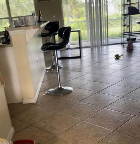 3018 66th St, Lehigh Acres, FL 33971-5830