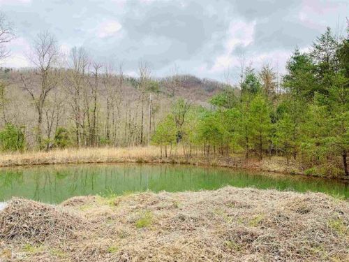 1111 Peckerwood Rd, Hayesville, NC 28904-9148
