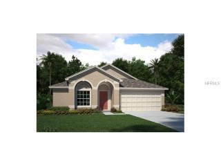 15405 Feather Star Pl, Ruskin, FL 33573-0195