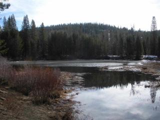50741 Conifer Dr, Truckee, CA