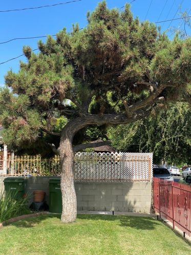 11843 Hamlin St, North Hollywood, CA 91606-5500