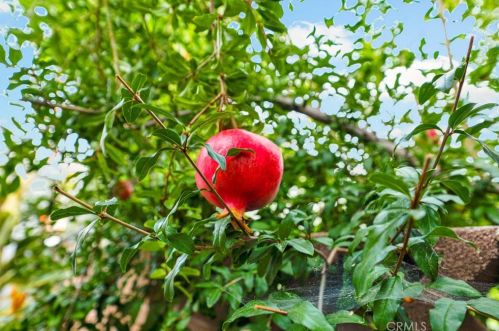 14833 Saticoy St, Van Nuys CA 91406-2129 exterior