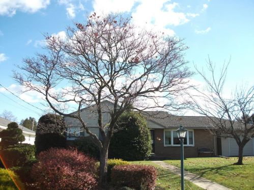 27 Walnut St, Macungie, PA 18062-1336