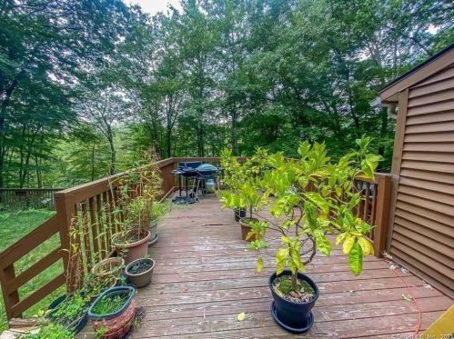 443 Main St, Terryville CT  06786-6809 exterior