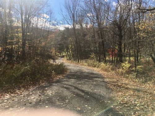 56 Route 292, Whaley Lake, NY 12531-5223