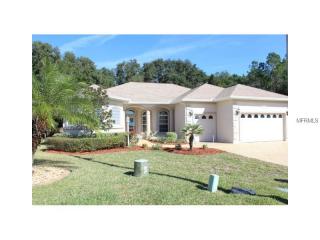12498 173rd Ln, Summerfield, FL 34491-1813