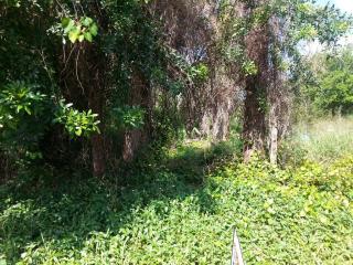 426 Columbus St, Sebastian, FL 32958-4320