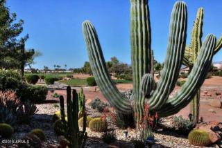 3020 148th Dr, Goodyear, AZ 85395-8921