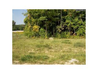 7847 Emerald Run Rd, Medina OH  44256-7756 exterior