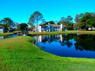 17104 Sandalwood Dr, Wildwood, FL 34785-9714
