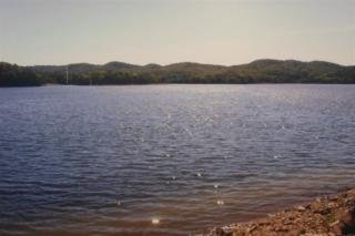 339 Chelaque Way, Mooresburg, TN 37811-2658