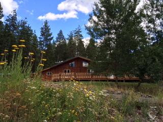 22650 Wallace Creek Rd, Turah MT  59825-9645 exterior