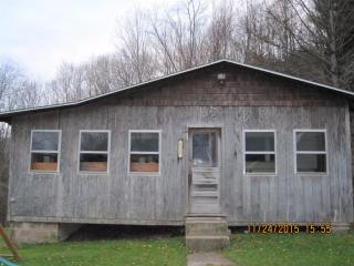 325 Dunk Hill Rd, Walton, NY 13856-3290