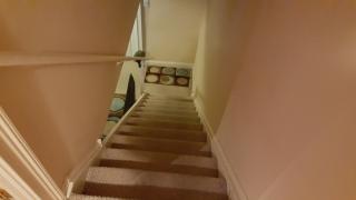 10706 Keswick Rd, Philadelphia PA  19154-4101 exterior