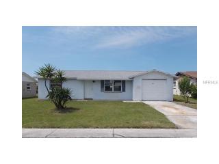 2131 Chatlin Rd, Tarpon Springs, FL 34691-3368