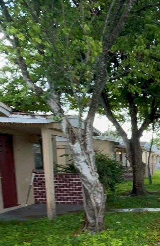 22 6th Ave, Dania Beach FL  33004-3293 exterior