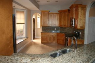 1630 Lago Vista Blvd, Palm Harbor FL  34685-3353 exterior