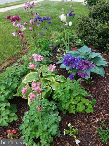 35 Marble House Dr, Bear DE  19701-4023 exterior