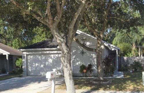 11125 Lake Tahoe Dr, Riverview, FL 33569-2927