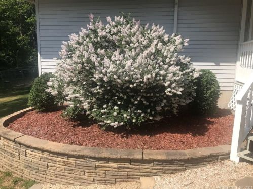 118 Oxbow Ln, Northford CT  06472-1152 exterior