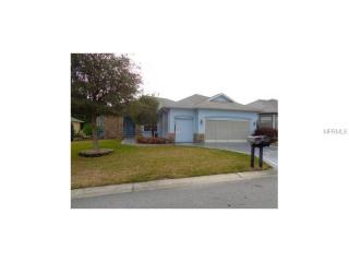 17114 117th Cir, Summerfield, FL 34491-7886