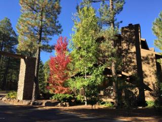 4509 Stone Pine Dr, Pinetop AZ  85935-8177 exterior