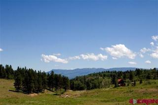 26 Spruce Ln, Ridgway CO  81432-9307 exterior