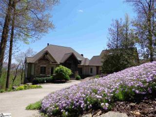 315 Blazing Star Trl, Landrum, SC 29356-3325